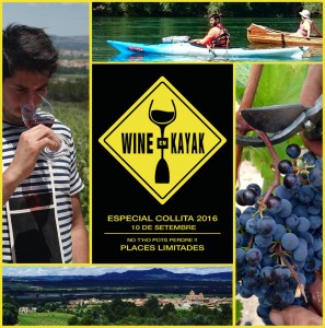 Vins i Olis Suñer - Celler i molí familiar - Wine en Kayak - Turisme actiu i Enoturisme a la Ribera d’Ebre a Tarragona